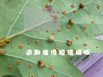逾期催债短信模板 逾期催债短信模板