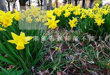 逾期催告通知能不能上门 逾期催告通知能不能上门