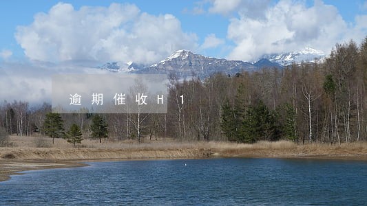 逾期催收H1