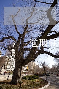 逾期催收crm 逾期催收crm