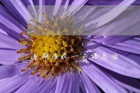 逾期催收一句话总结 逾期催收一句话总结