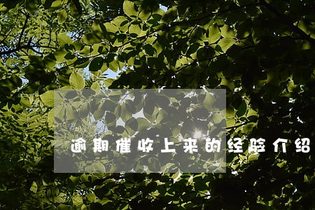 逾期催收上来的经验介绍 逾期催收上来的经验介绍