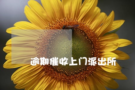 逾期催收上门派出所 逾期催收上门派出所