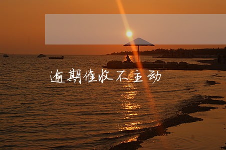 逾期催收不主动 逾期催收不主动