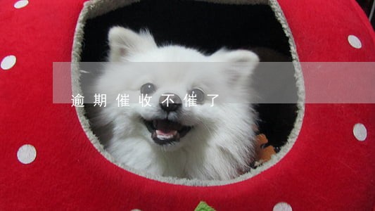 逾期催收不催了
