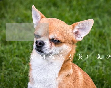 逾期催收专员(乳源县)