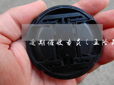 逾期催收专员(五险双休)