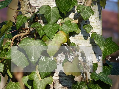 逾期催收中的解决方法 逾期催收中的解决方法