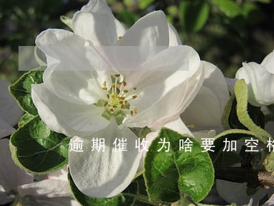 逾期催收为啥要加空格 逾期催收为啥要加空格