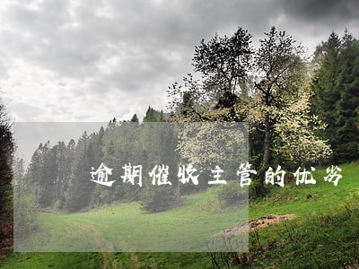 逾期催收主管的优劣 逾期催收主管的优劣