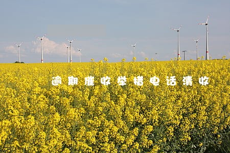 逾期催收举措电话清收 逾期催收举措电话清收