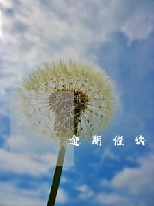 逾期催收人员 逾期催收人员