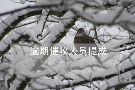 逾期催收人员提成 逾期催收人员提成