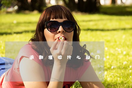 逾期催收什么部门 逾期催收什么部门