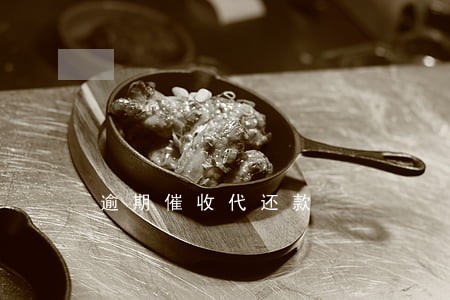 逾期催收代还款 逾期催收代还款