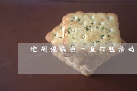 逾期催收会一直打电话吗 逾期催收会一直打电话吗
