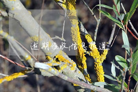 逾期催收信息报道 逾期催收信息报道