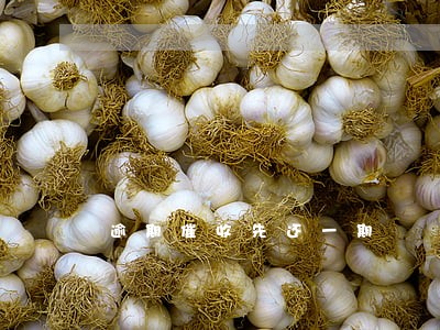 逾期催收先还一期 逾期催收先还一期
