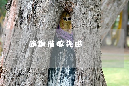 逾期催收先进 逾期催收先进