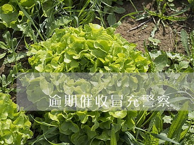 逾期催收冒充警察 逾期催收冒充警察