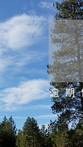 逾期催收几部 逾期催收几部