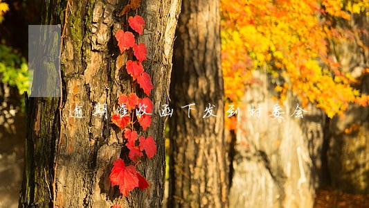逾期催收函下发到村委会 逾期催收函下发到村委会