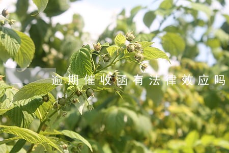 逾期催收函有法律效应吗 逾期催收函有法律效应吗