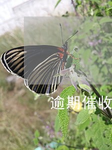 逾期催收单能让父母签字吗 逾期催收单能让父母签字吗