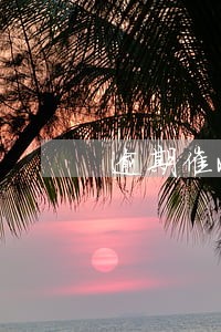 逾期催收反催收 逾期催收反催收