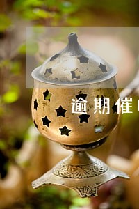 逾期催收合同 逾期催收合同