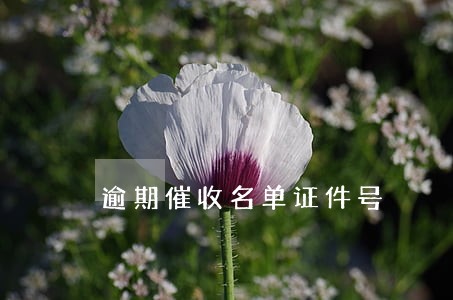 逾期催收名单证件号 逾期催收名单证件号