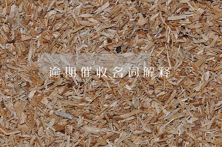 逾期催收名词解释 逾期催收名词解释