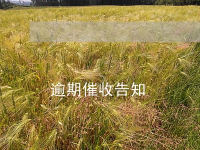 逾期催收告知