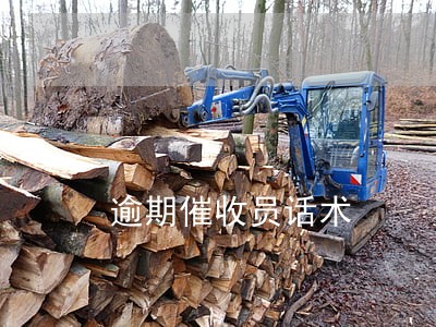 逾期催收员话术 逾期催收员话术