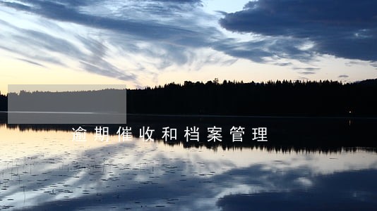 逾期催收和档案管理 逾期催收和档案管理