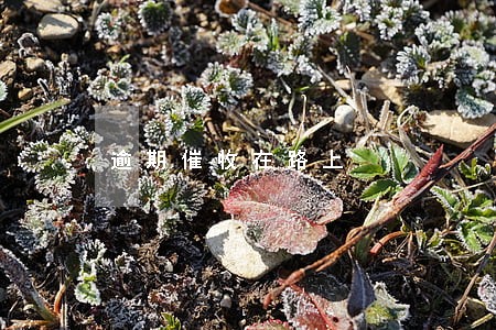 逾期催收在路上 逾期催收在路上