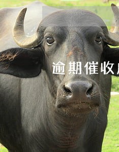 逾期催收威胁朋友 逾期催收威胁朋友