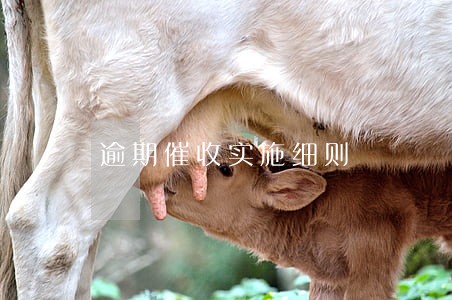 逾期催收实施细则 逾期催收实施细则