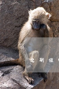 逾期催收客服好做吗 逾期催收客服好做吗
