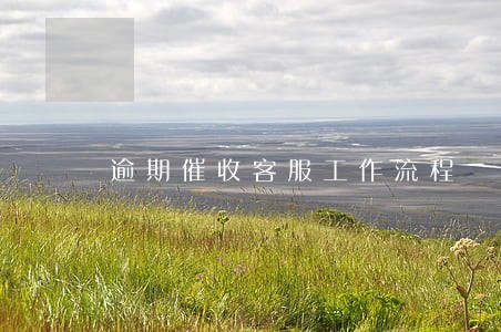 逾期催收客服工作流程