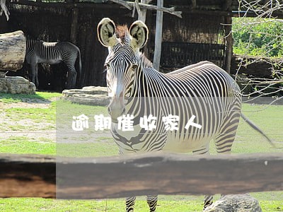 逾期催收家人