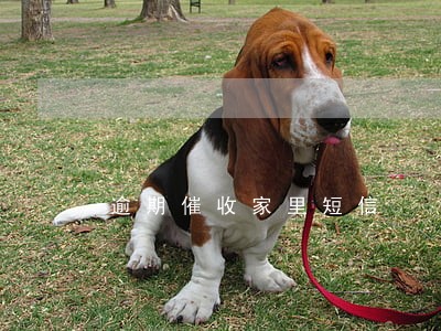 逾期催收家里短信 逾期催收家里短信