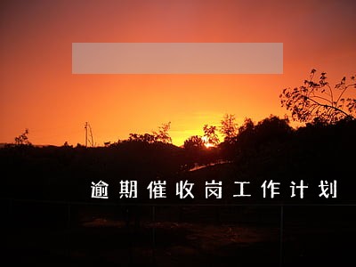 逾期催收岗工作计划 逾期催收岗工作计划