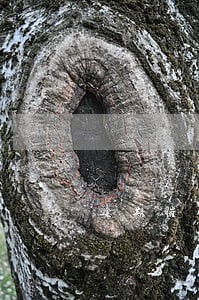 逾期催收工作丢了 逾期催收工作丢了