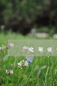 逾期催收工作计划 逾期催收工作计划