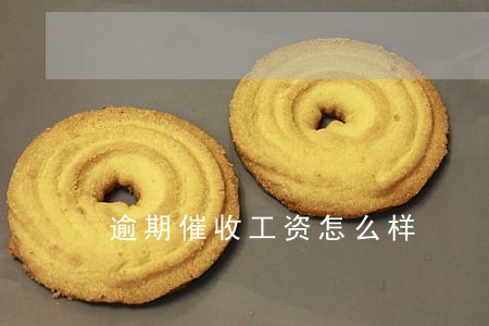逾期催收工资怎么样
