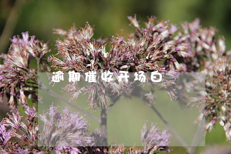 逾期催收开场白 逾期催收开场白