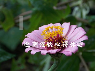 逾期催收心得体会 逾期催收心得体会