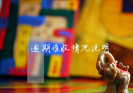 逾期催收情况说明 逾期催收情况说明