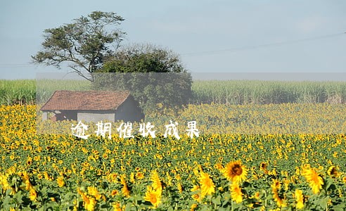 逾期催收成果 逾期催收成果